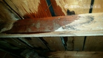雨漏れ屋根裏