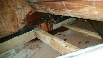 雨漏れ屋根裏