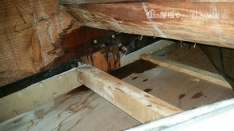 雨漏れ屋根裏