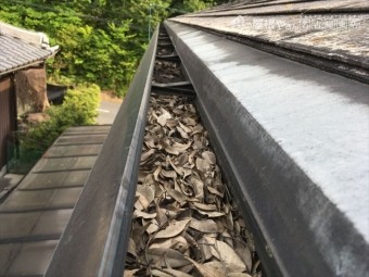 雨樋の詰まり