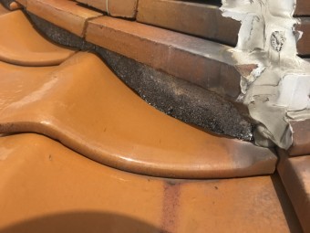 IMG_3809-columns2