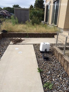 現地調査庭全体2