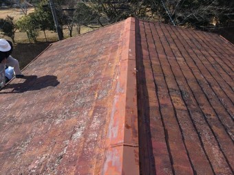 IMG_4177_R-1-columns2