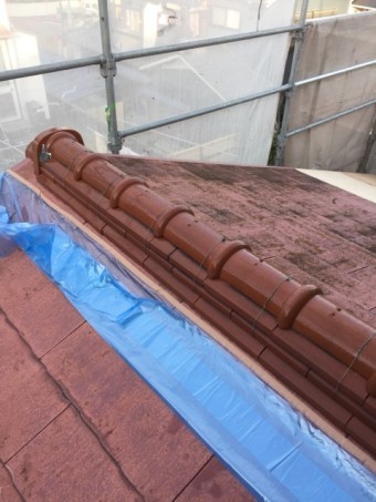 IMG_4463-columns2