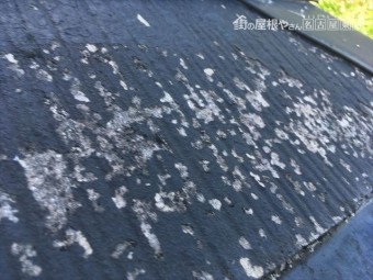 スレート屋根の劣化