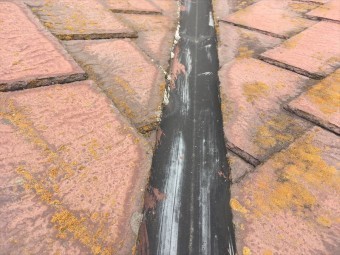スレート 褪色 塗装