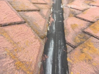スレート 褪色 塗装