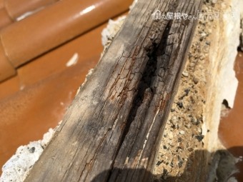 S瓦 台風被害
