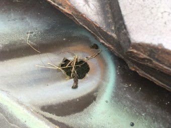 谷板金の雨漏り