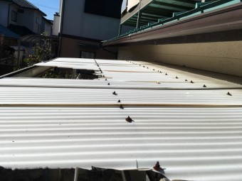 波板の破損 割れ 台風被害