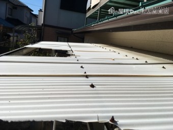 波板の破損 割れ 台風被害