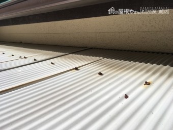 波板の破損 割れ 台風被害