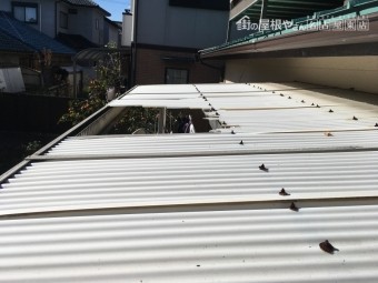 波板の破損 割れ 台風被害