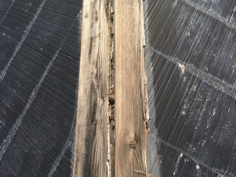 棟板金のめくれ スレート屋根の台風被害