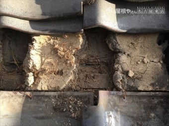 瓦屋根 雀の巣