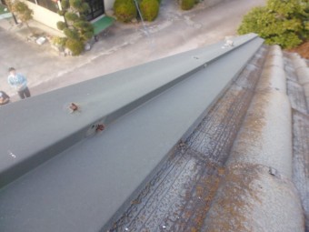 モニエル屋根