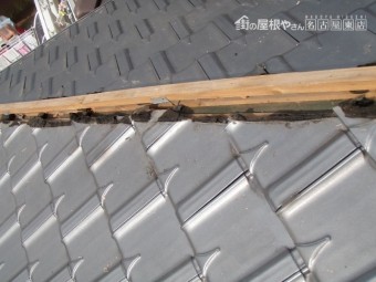 棟瓦にスズメ