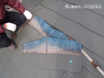 カラーベスト差し替え