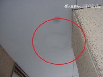 現地調査