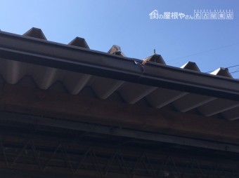 雨樋破損