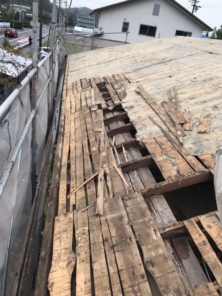 S__7905309-columns1