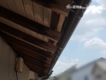 雨樋の補修工事