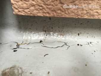 ベランダトップコートの剥がれ