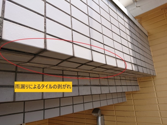雨漏り調査