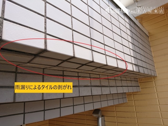 雨漏り調査