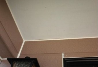 軒天 施工前