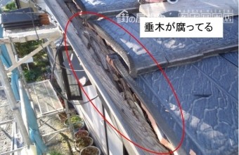袖垂木腐り