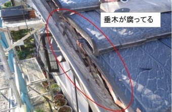 袖垂木腐り