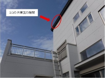 片棟冠のすずめ