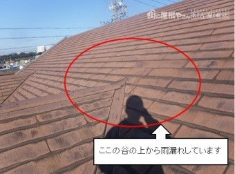 カラーベスト谷