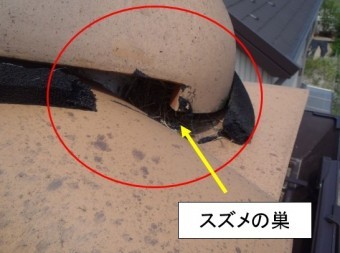 屋根スズメ