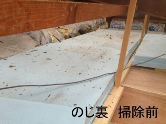 野地裏の掃除