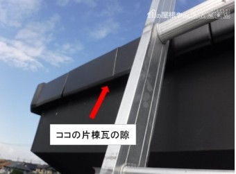 片棟冠の隙間