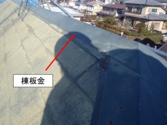 棟板金