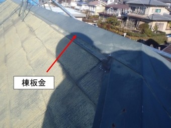 棟板金