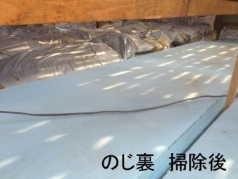 野地裏の掃除