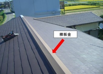 棟板金