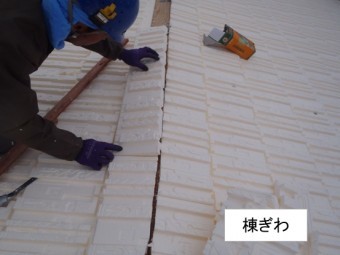 ヤネフキ名人棟ぎわ