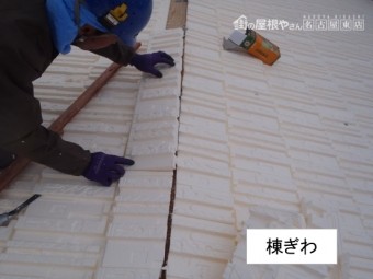 ヤネフキ名人棟ぎわ