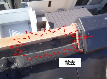 スズメの巣を撤去