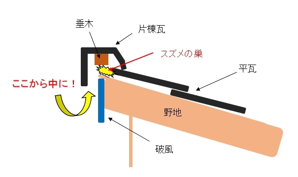 屋根にスズメの巣