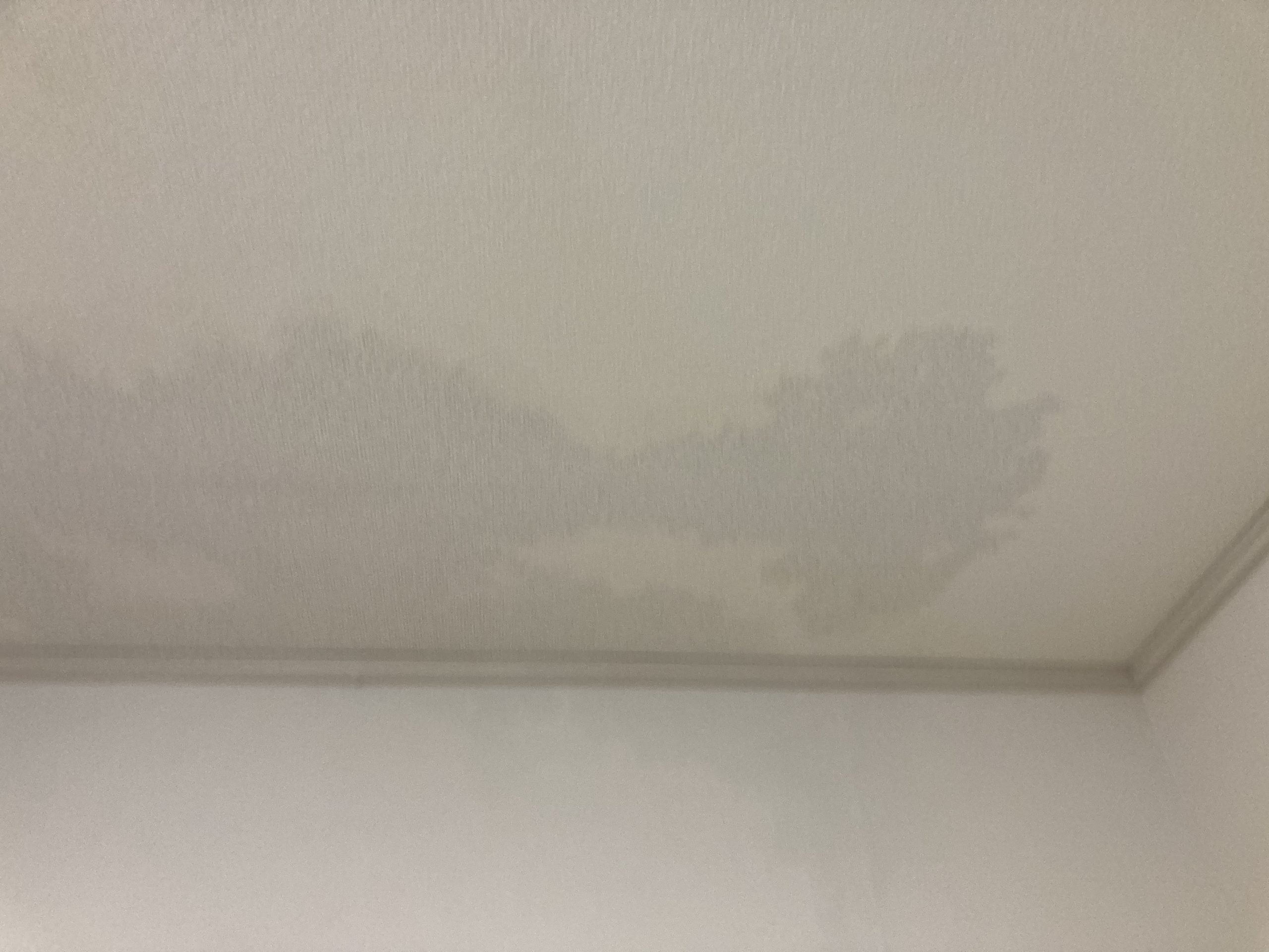 天井に雨染みがあります