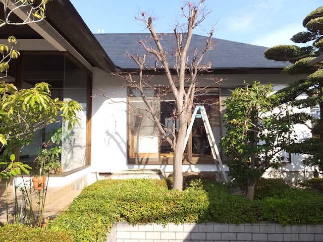 名古屋市天白区で化粧スレート屋根が庭先に落ちてきたので現調・放置すると雨漏りの可能性があるため早めの修理が必要です