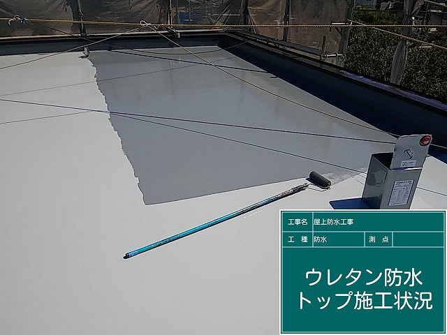 トップコート施工