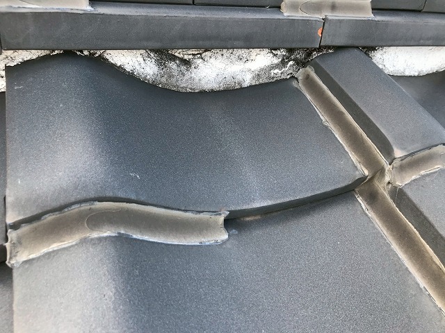 屋根点検のご相談も承ってます