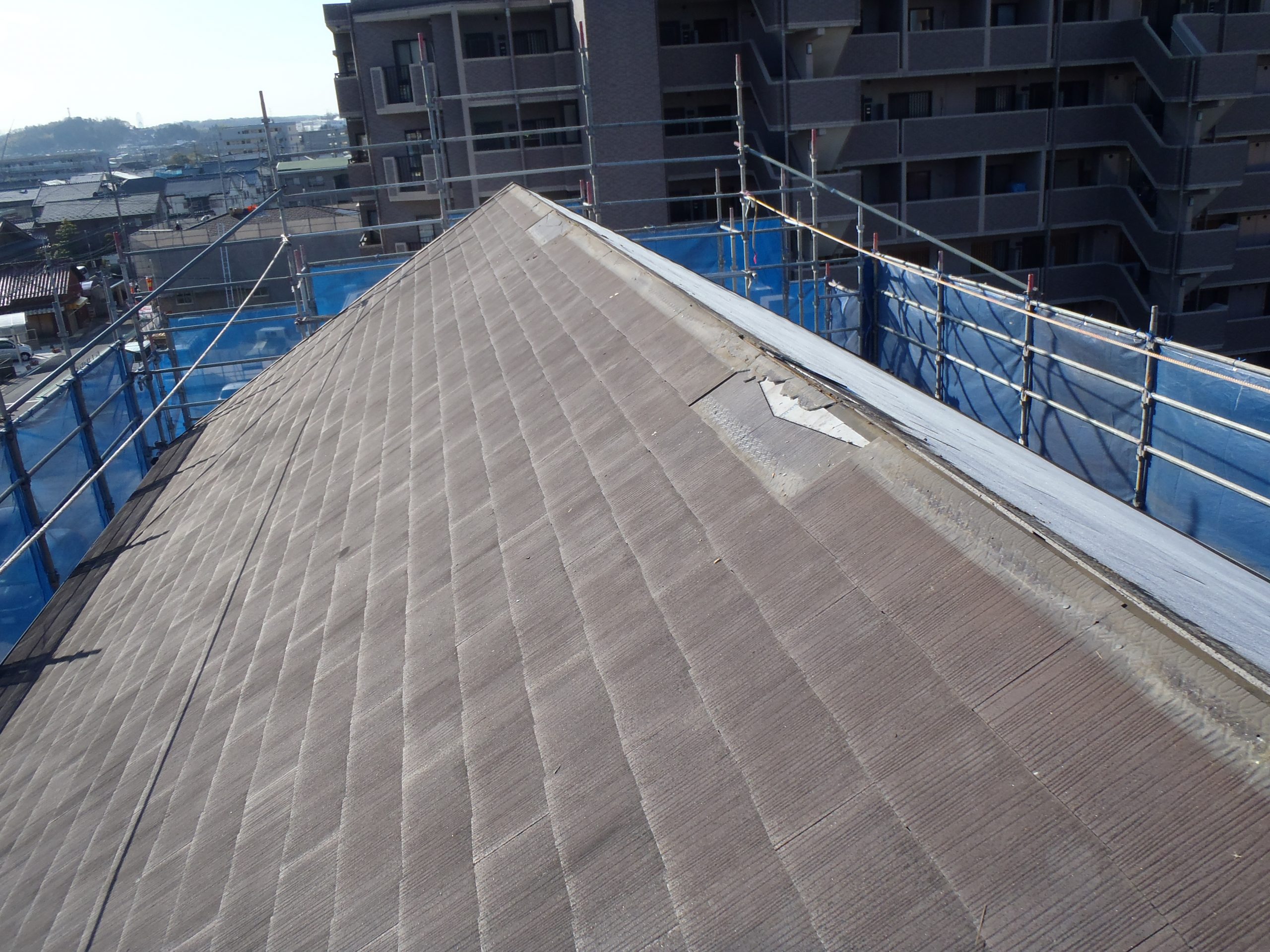 屋根全体の退色と剥がれ